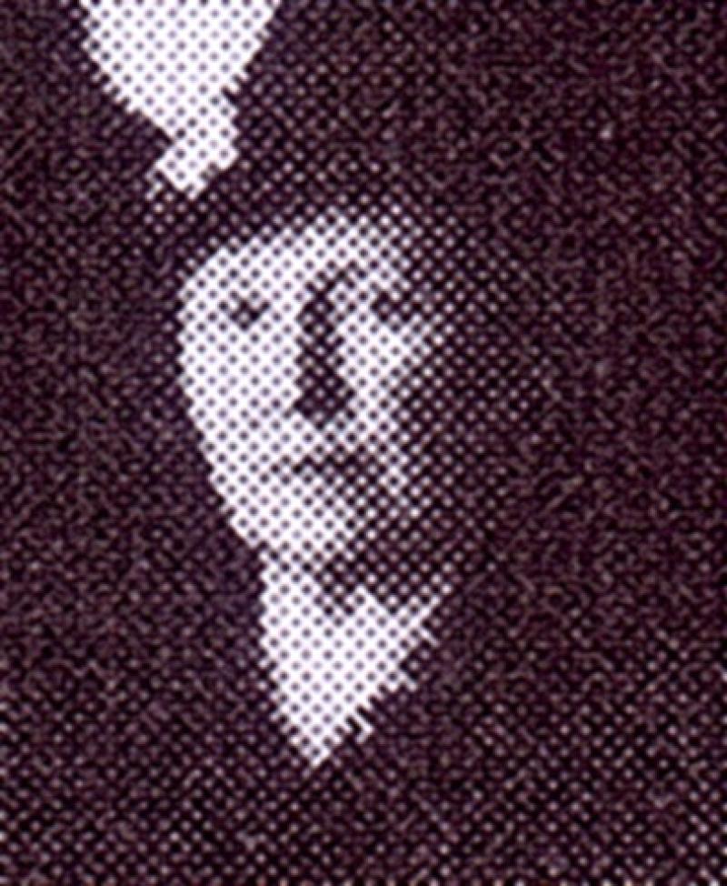 Portrait von Bianka Irma Hamburger