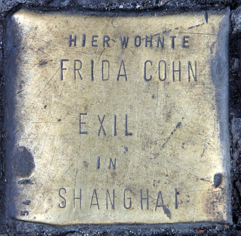 Stolperstein für Frida Cohn