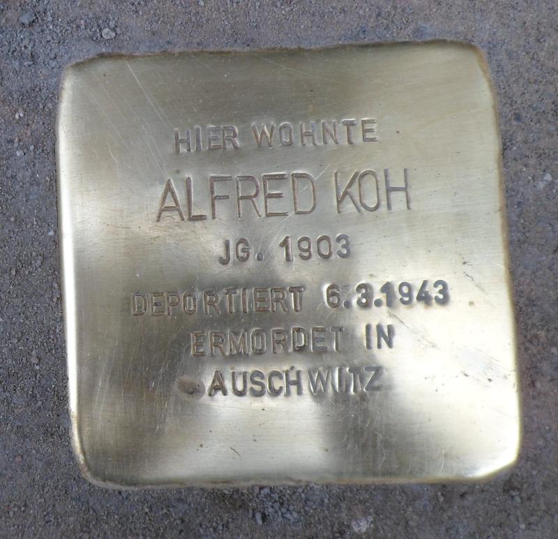 Stolperstein für Alfred Koh