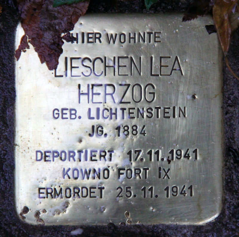 Stolperstein Lea Lieschen Herzog