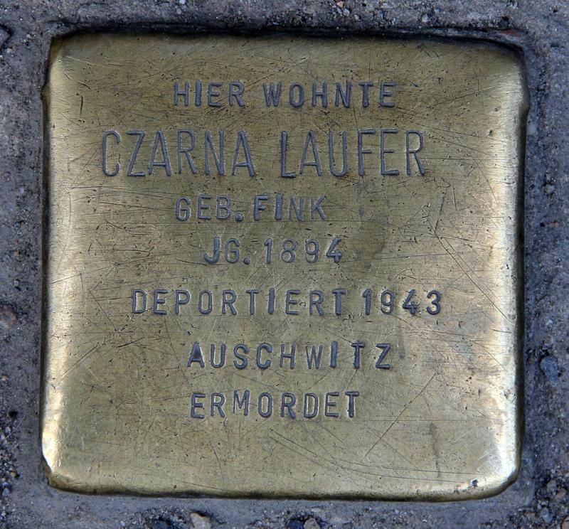 Czarna Laufer © OTFW