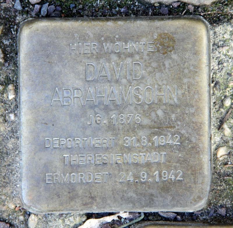 David Abrahamsohn © OTFW