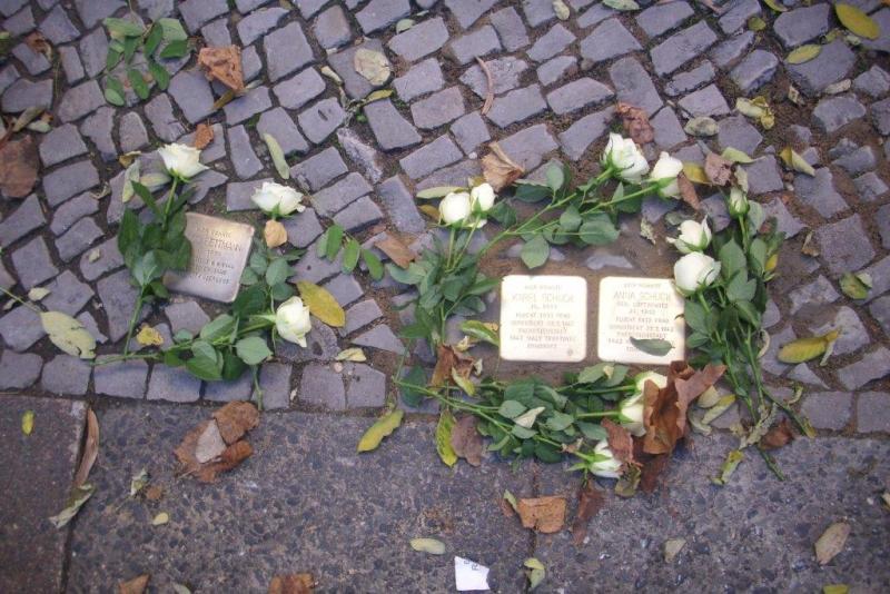 Die Steine vor der Halskestr. 41