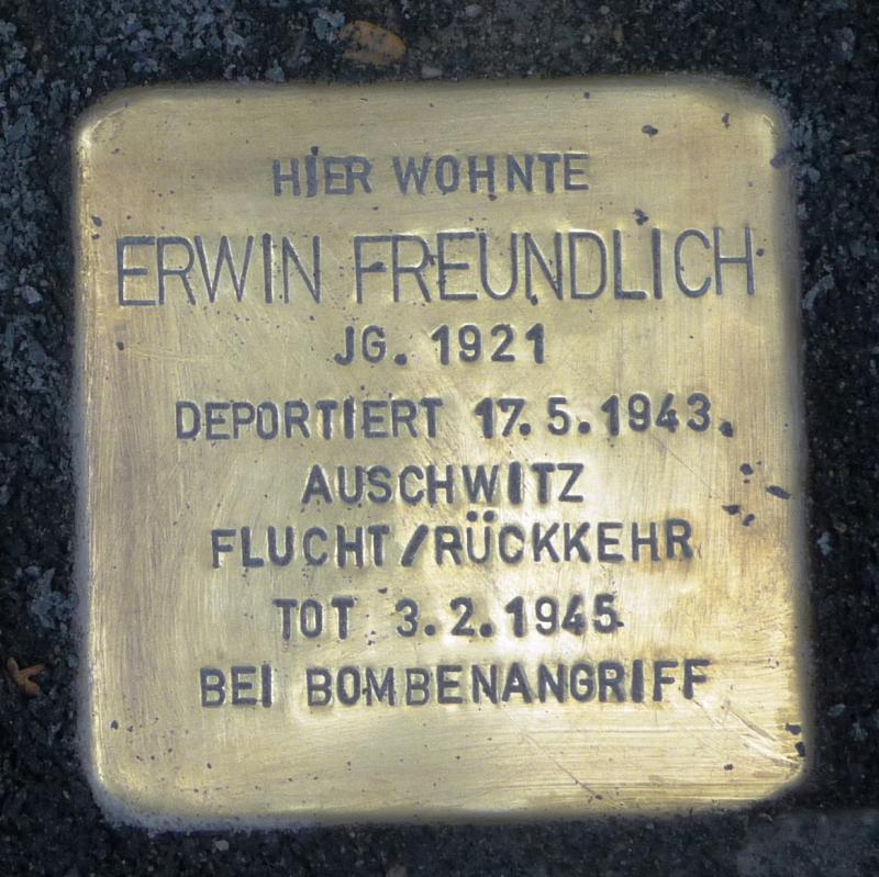 Stolperstein Erwin Freundlich / Museum Neukölln ©