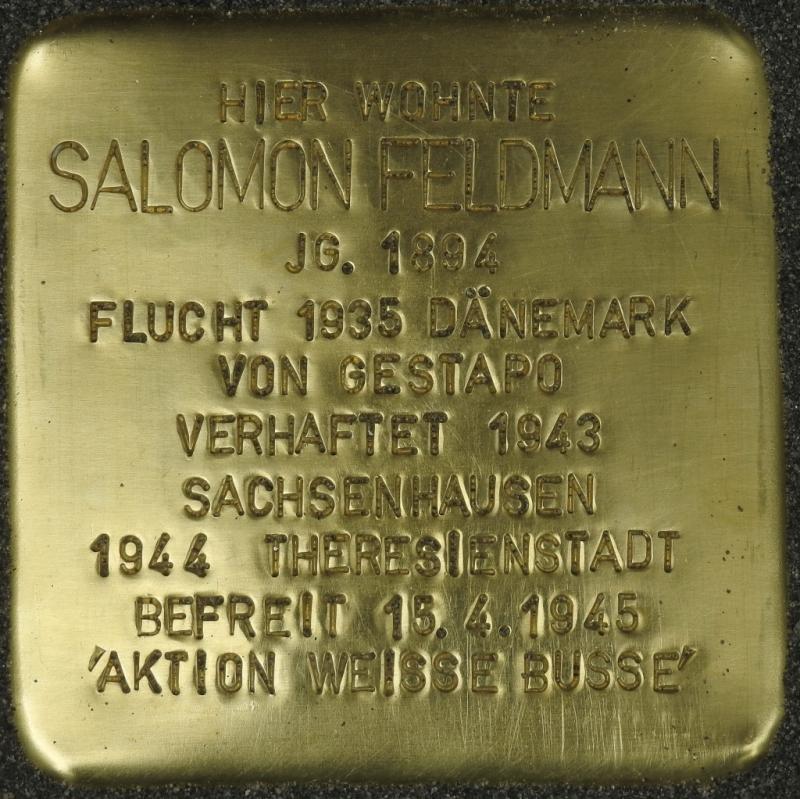 Stolperstein Salomon Feldmann (Bild: Stolpersteine-Initiative CW, Hupka)