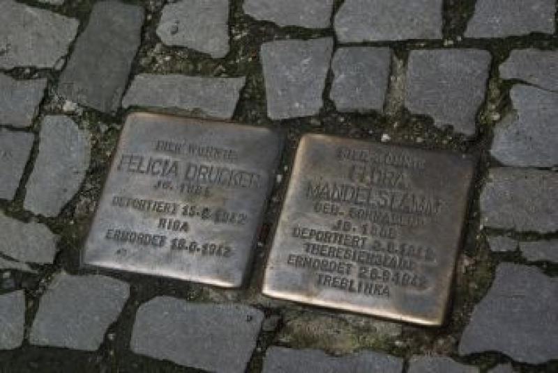 In der Donaustraße 11 liegt der Stolperstein für Felicia Drucker neben dem von Flora Mandelstamm. (Foto: Simon)