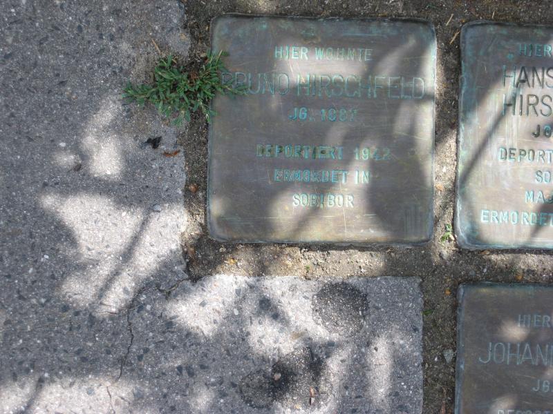 Stolperstein für Bruno Hirschfeld. Copyright: MTS