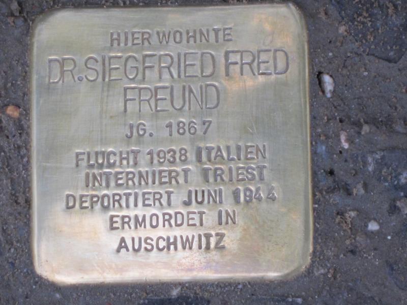 Stolperstein für Dr. Siegfried Fred Freund. Copyright: MTS