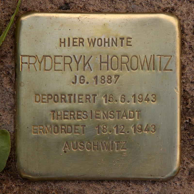 Fryderyk Horowitz © OTFW