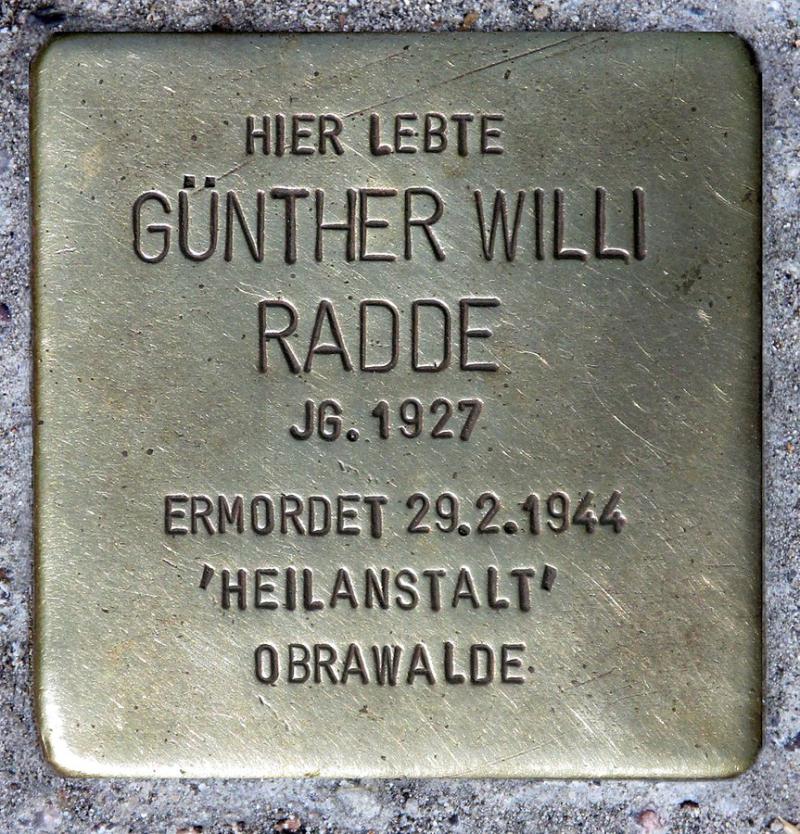 Günther Willi Radde © OTFW