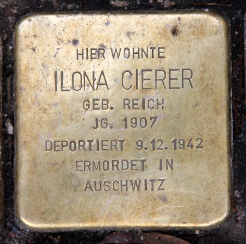 Ilona Cierer © OTFW