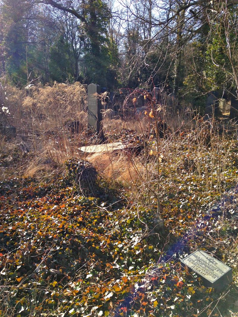 Margarete Koppels Grab in Berlin-Weissensee