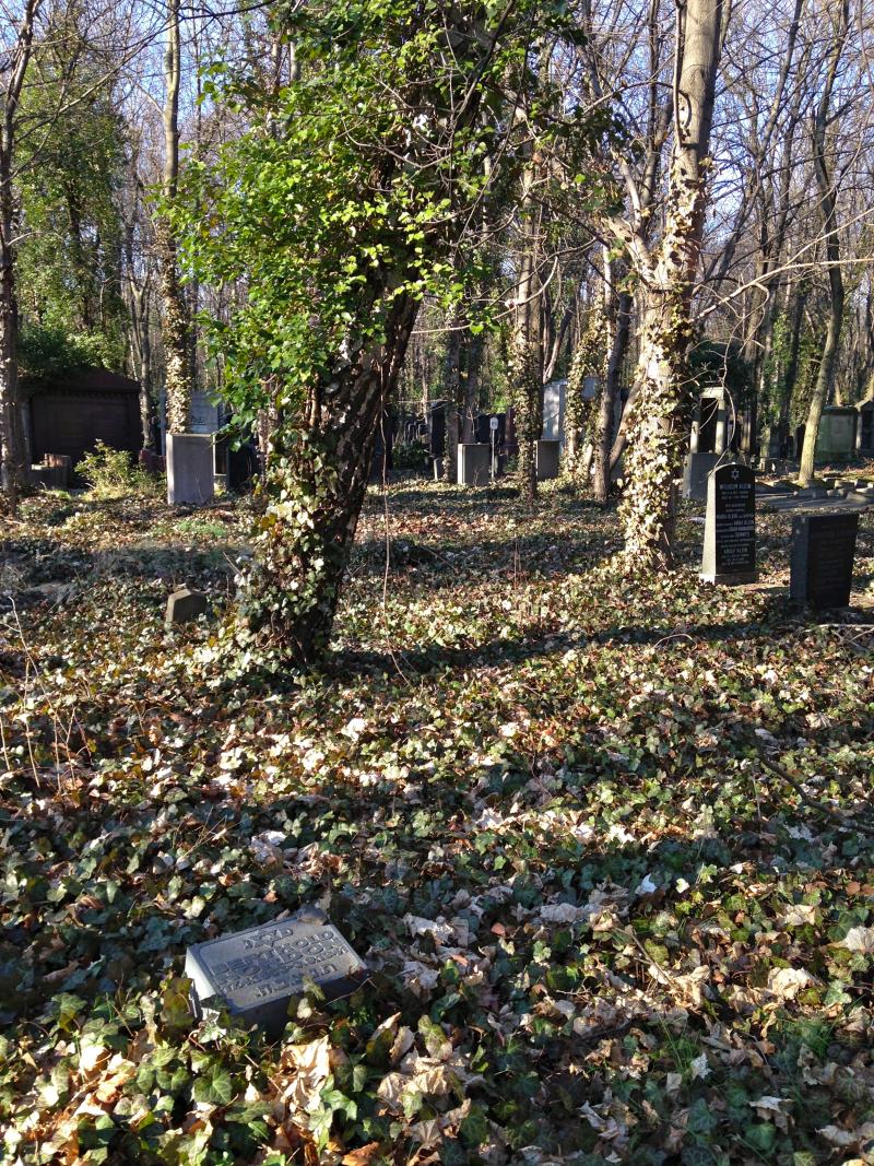 Grab Berthold Nordon in Berlin-Weissensee