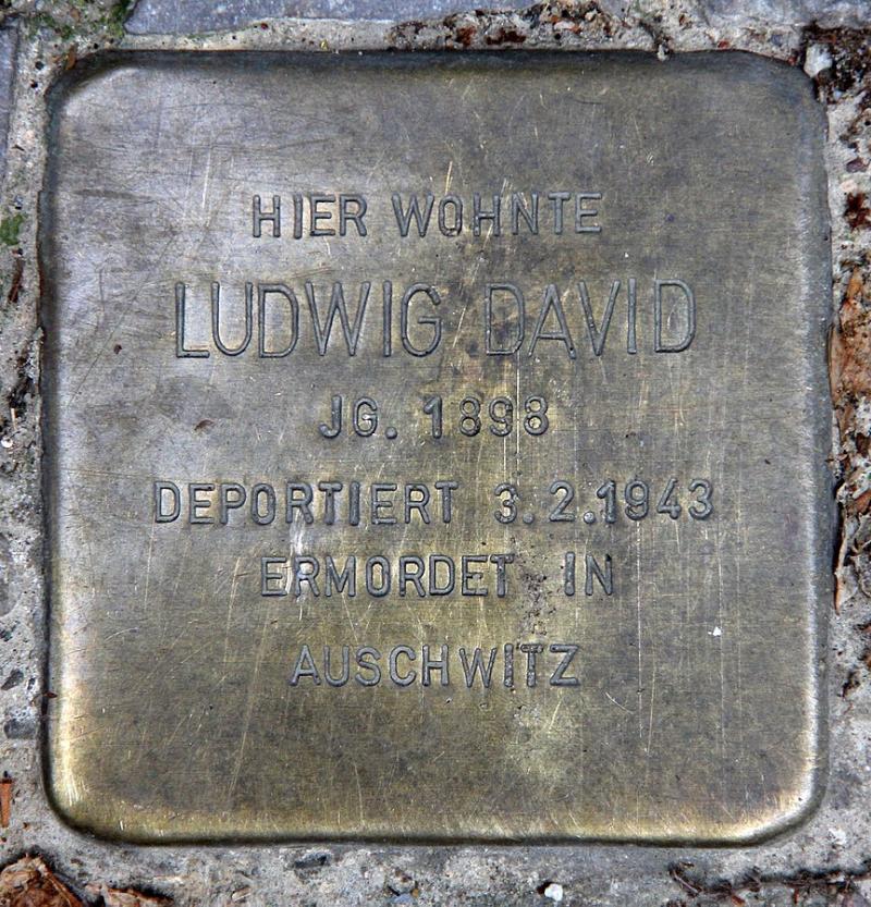 Ludwig David © OTFW