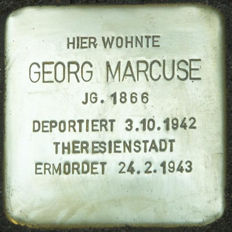 Stolperstein Georg Marcuse