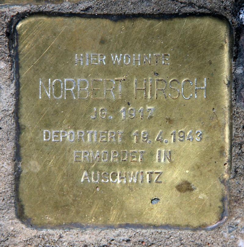 Norbert Hirsch © OTFW