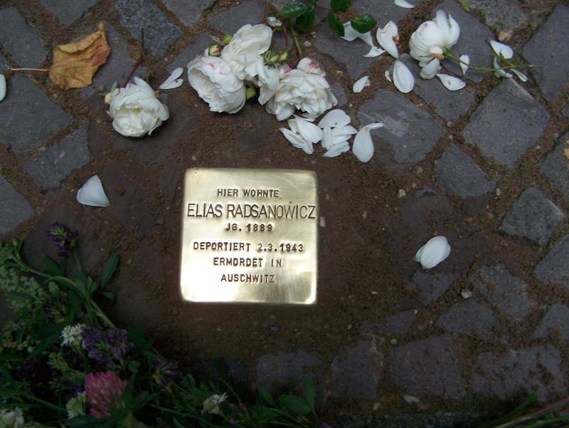 Stolperstein in der Nansenstraße 18 © Ruben / Museum Neukölln