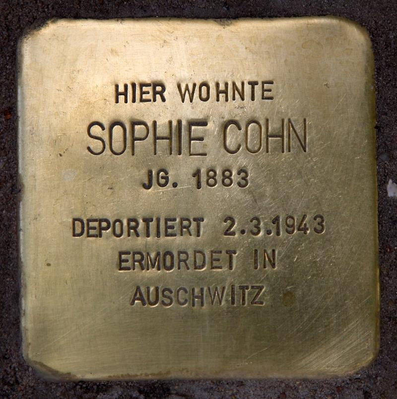 Sophie Cohn © OTFW