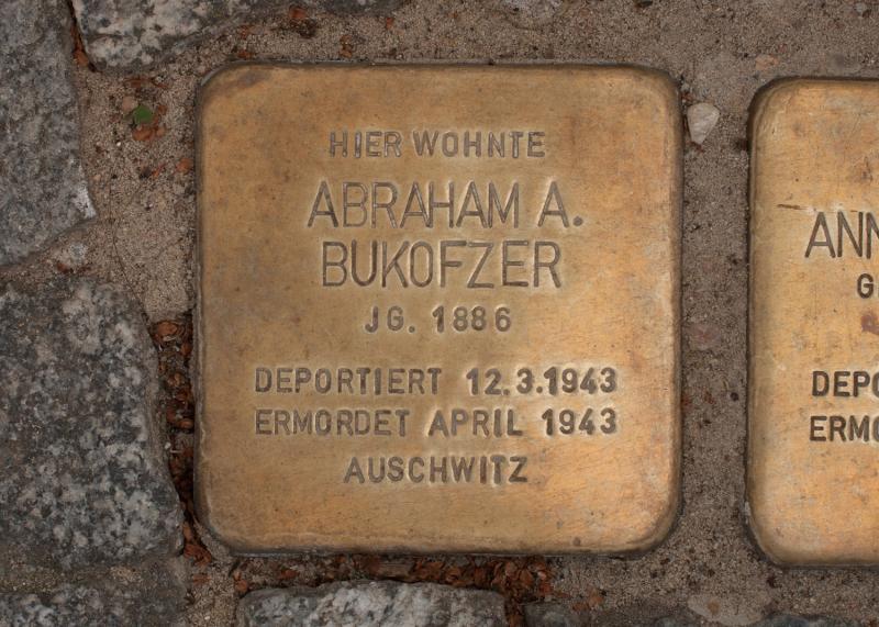 Foto:  A. Bukschat &amp; C. Flegel