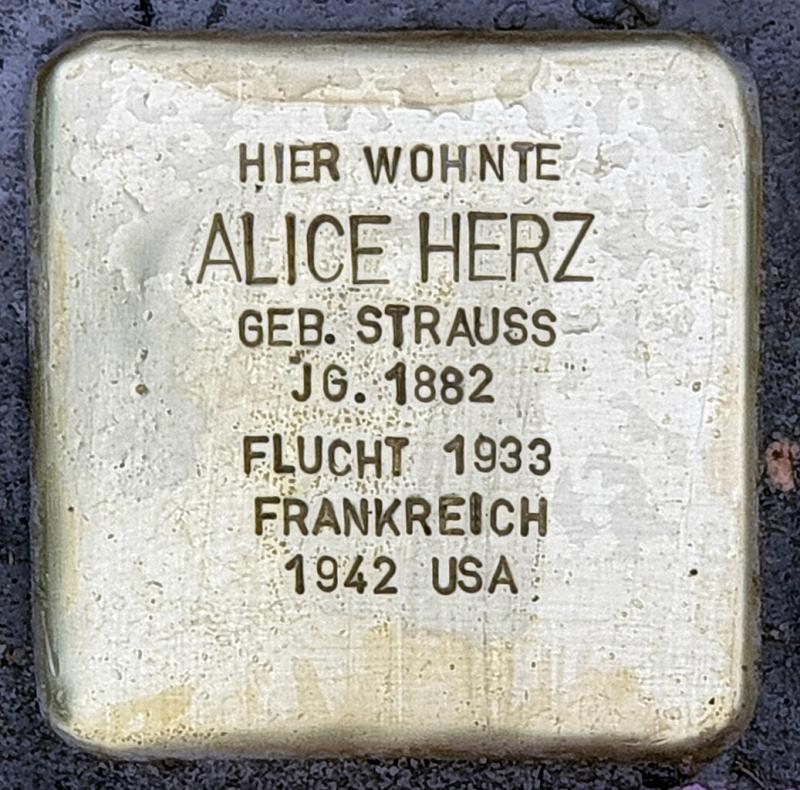 Stolpersteine für Alice Herz © OTFW
