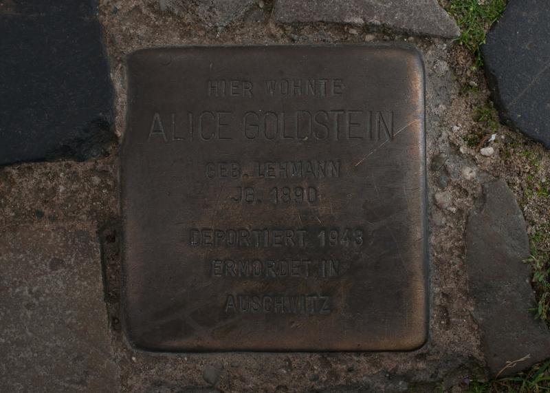 Foto:  A. Bukschat &amp; C. Flegel