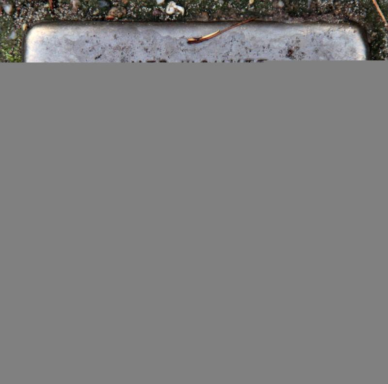 Stolperstein für Alfred Karl Hentschel.