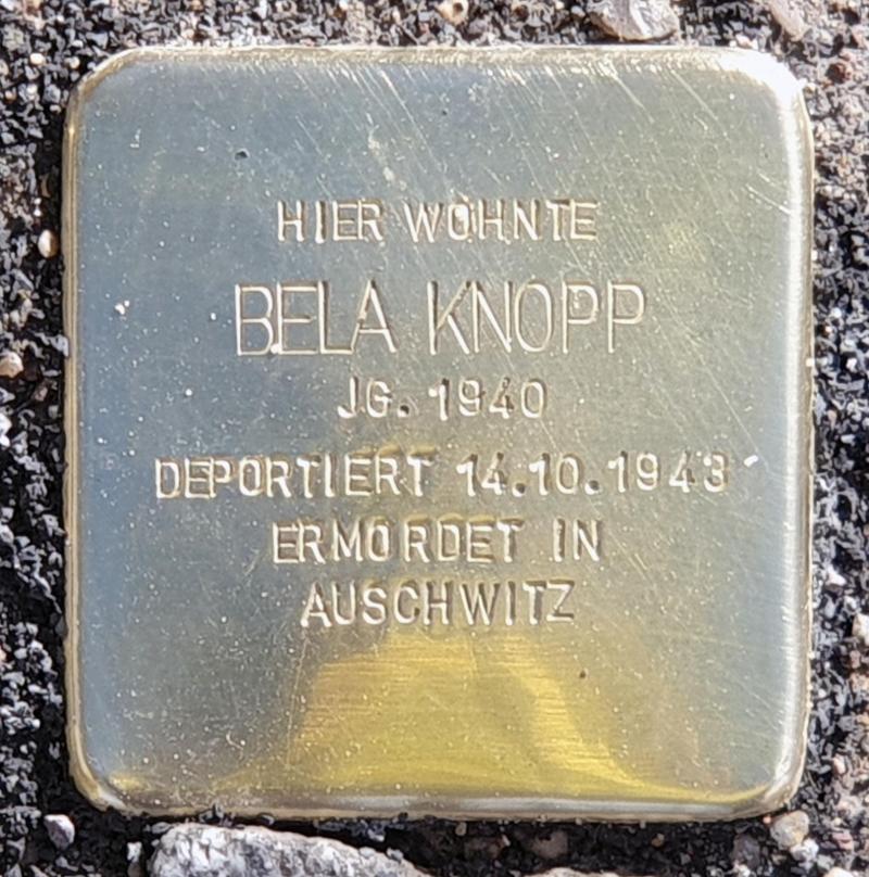 Stolperstein für Bela Knopp © OTFW