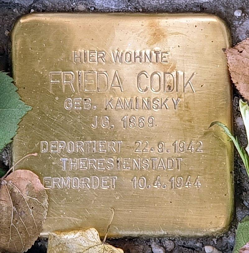 Stolperstein Frieda Codik © OTFW