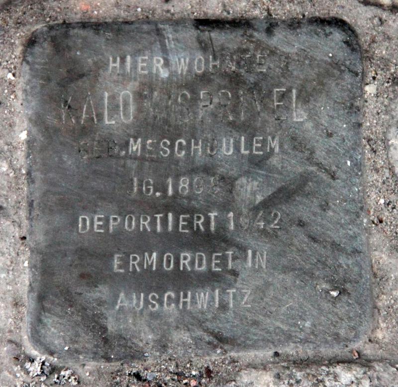 Stolperstein für Kalon Spriyel.