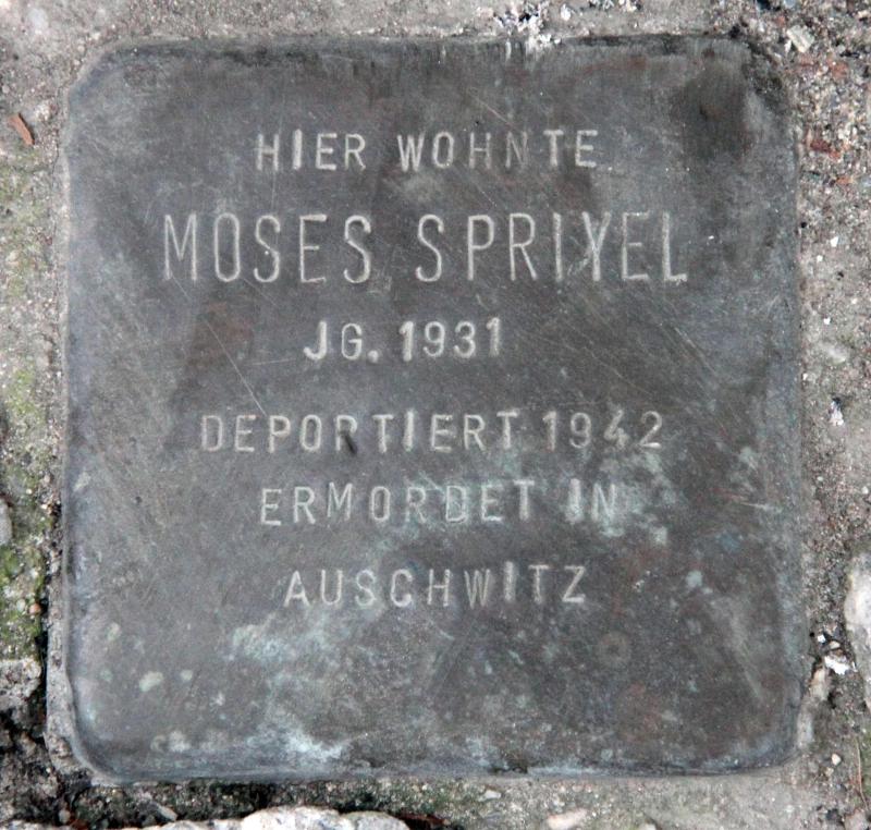 Stolperstein für Moses Spriyel.