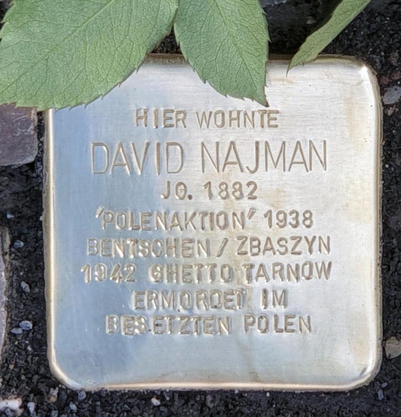Stolperstein für David Najman, Foto: OTFW