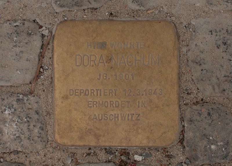 Foto:  A. Bukschat &amp; C. Flegel