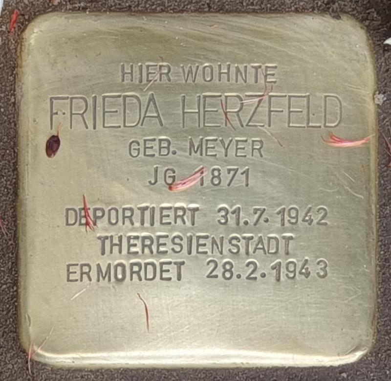 Stolperstein für Frieda Herzfeld © OTFW
