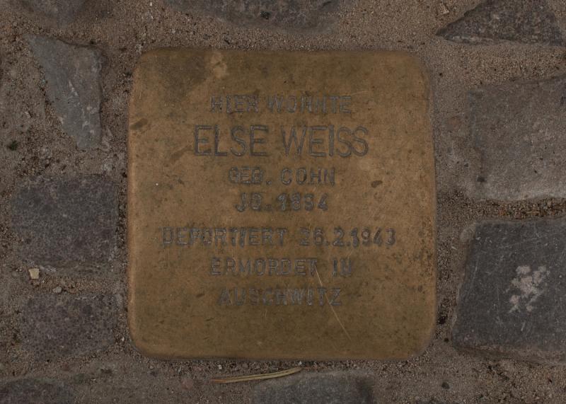 Foto: A. Bukschat &amp; C. Flegel