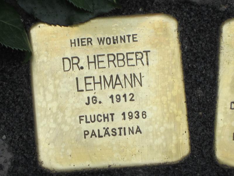 Stolperstein für Dr. Herbert Lehmann. Copyright: MTS