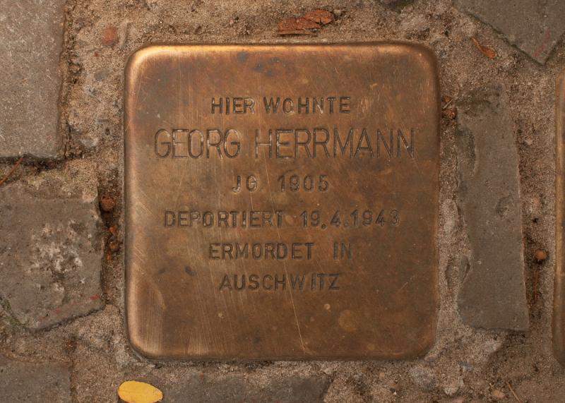 Foto: A. Bukschat &amp; C. Flegel