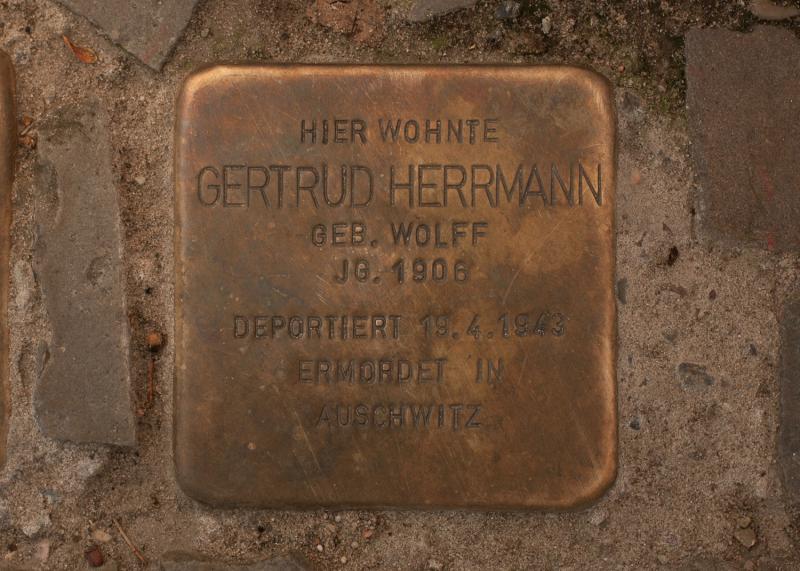 Foto: A. Bukschat &amp; C. Flegel