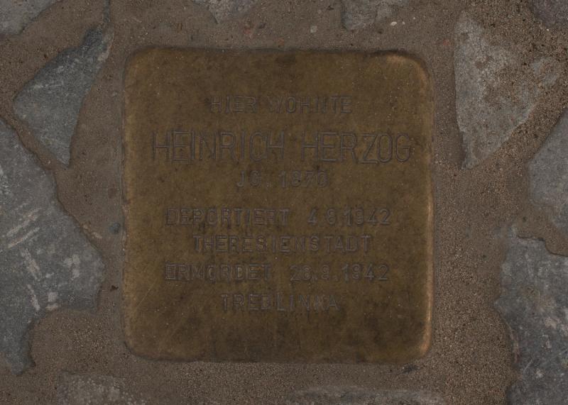 Foto: A. Bukschat &amp; C. Flegel