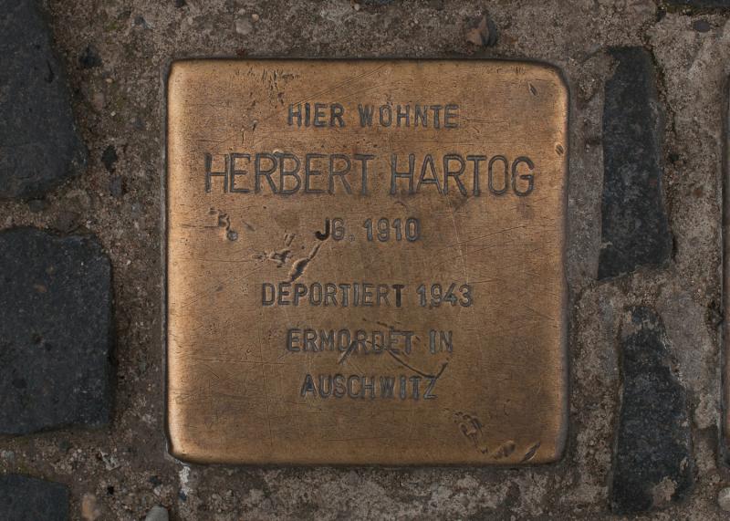 Foto:  A. Bukschat &amp; C. Flegel