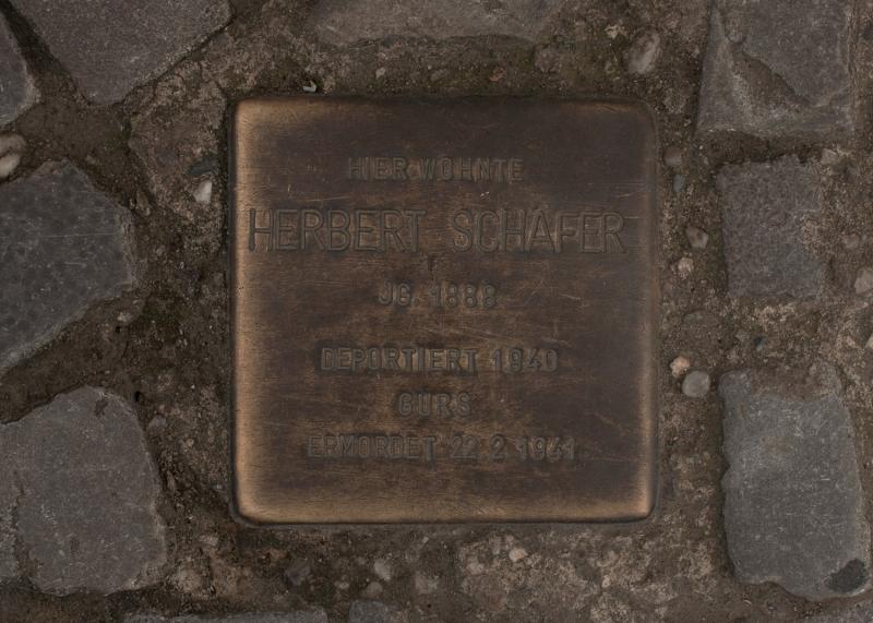 Foto: A. Bukschat &amp; C. Flegel