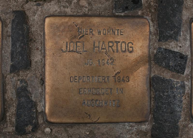 Foto:  A. Bukschat &amp; C. Flegel