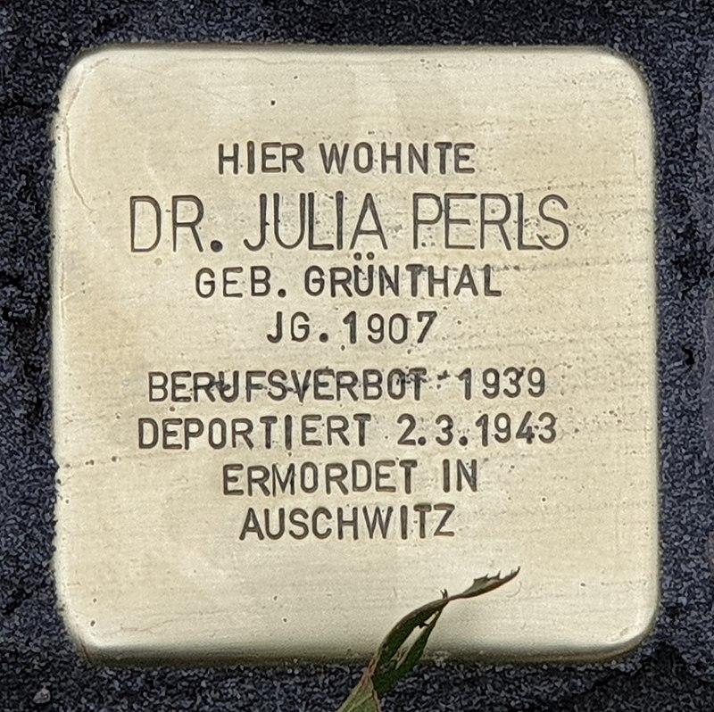 Stolperstein Dr. Julia Perls, Foto: OTFW