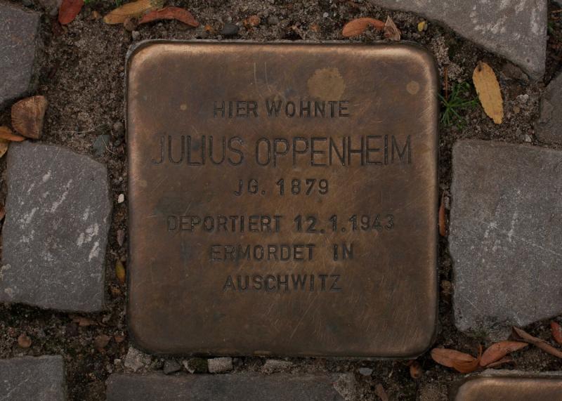 Foto: A. Bukschat &amp; C. Flegel