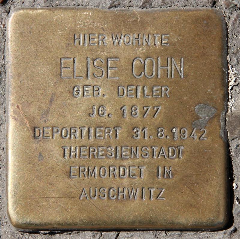 Stolperstein für Elise Cohn.