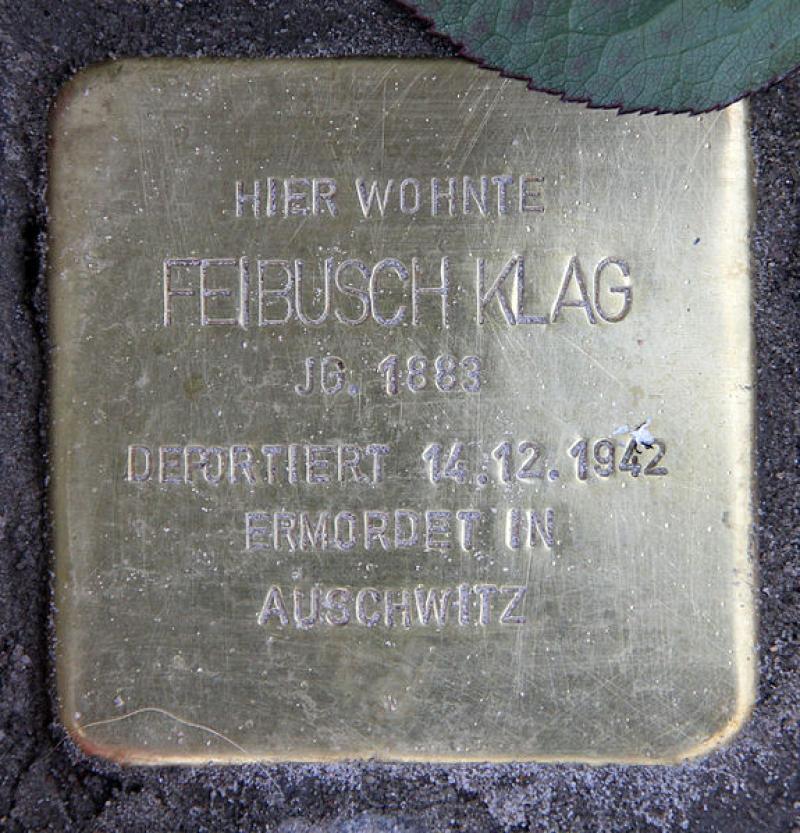 Stolperstein für Freibusch Klag