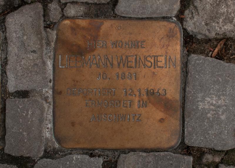 Foto:  A. Bukschat &amp; C. Flegel