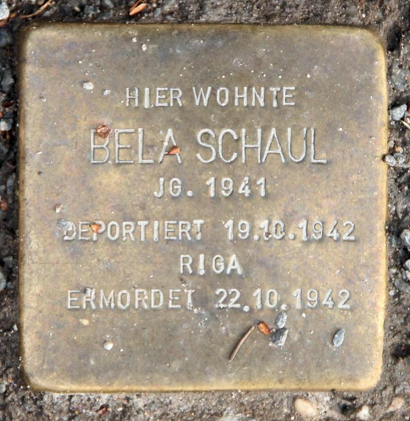 Stolperstein für Bela Schaul.