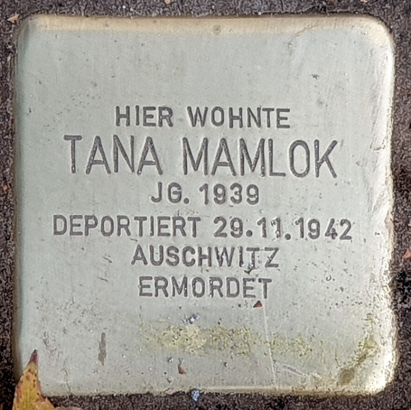 Stolperstein für Tana Mamlok