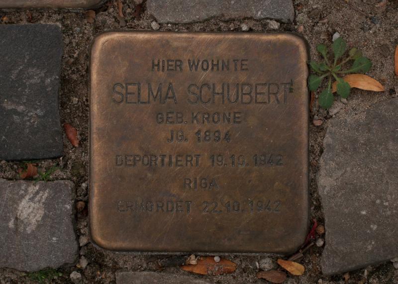 Foto: A. Bukschat &amp; C. Flegel