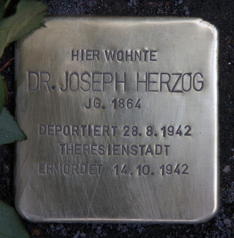 Stolperstein Dr. Joseph Herzog